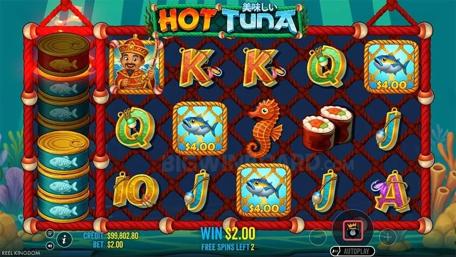 Graphic representation of user rights over data, with icons for access, deletion, and control, emphasizing Bingo Plus Free 20's commitment to individual privacy.
